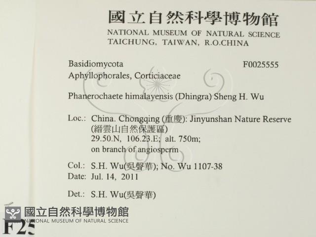 登錄號:F0025555藏品圖，第2張