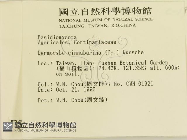 登錄號:F0005555藏品圖，第2張