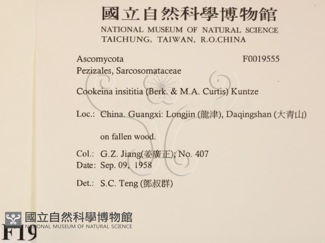 登錄號:F0019555藏品圖，第2張