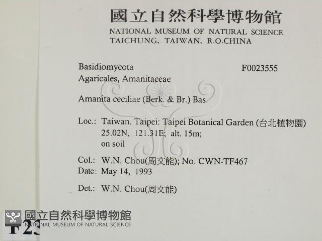 登錄號:F0023555藏品圖，第2張