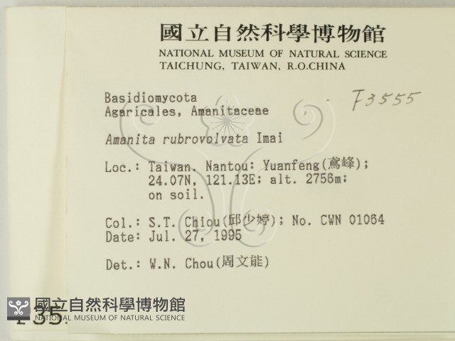 登錄號:F0003555藏品圖，第2張