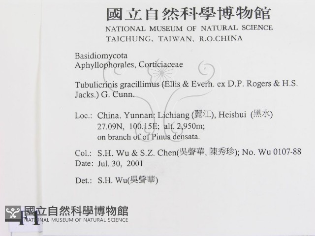 登錄號:F0013555藏品圖，第2張