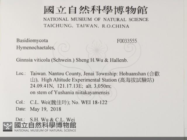 Accession Number:F0033555 Collection Image, Figure 2, Total 2 Figures