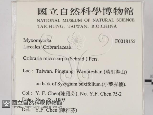 登錄號:F0018155藏品圖，第2張