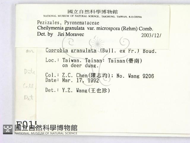 登錄號:F0000155藏品圖，第2張
