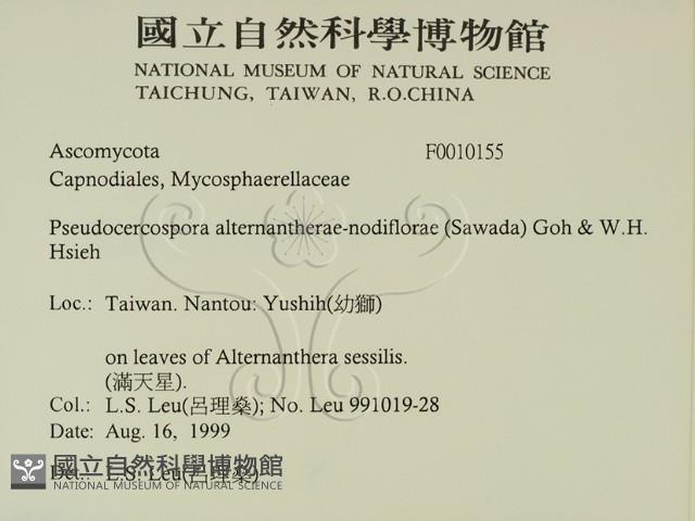 登錄號:F0010155藏品圖，第2張