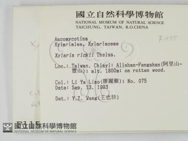 登錄號:F0001155藏品圖，第2張