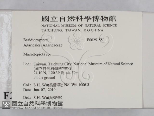 登錄號:F0025155藏品圖，第2張