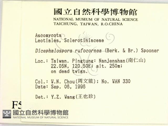 登錄號:F0005155藏品圖，第2張