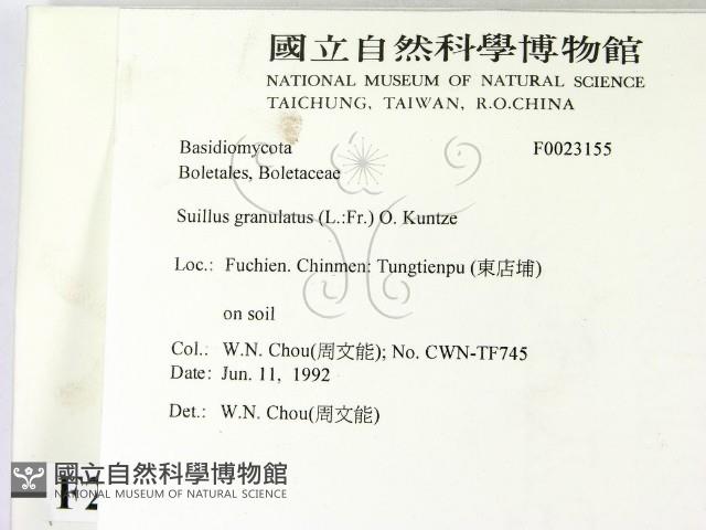 登錄號:F0023155藏品圖，第2張