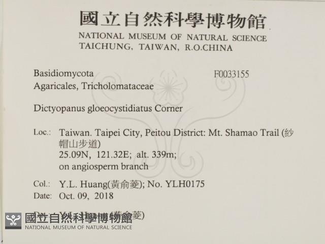 登錄號:F0033155藏品圖，第2張