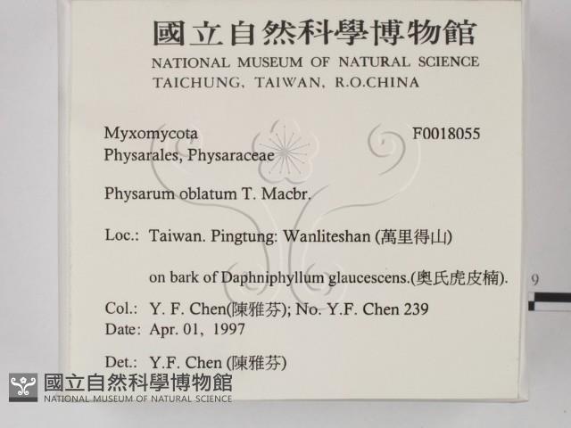 登錄號:F0018055藏品圖，第2張