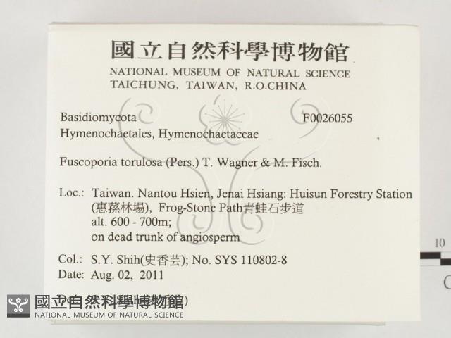 登錄號:F0026055藏品圖，第2張