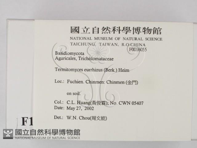 登錄號:F0016055藏品圖，第2張