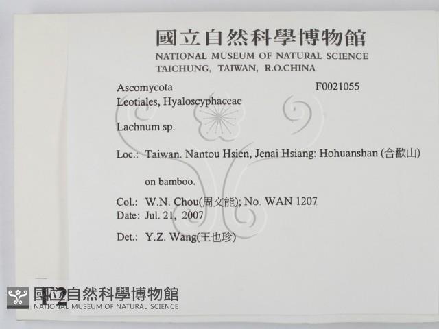 登錄號:F0021055藏品圖，第2張
