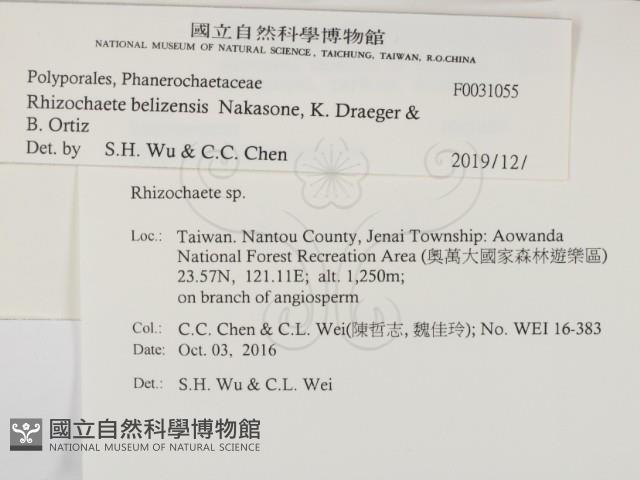 登錄號:F0031055藏品圖，第2張