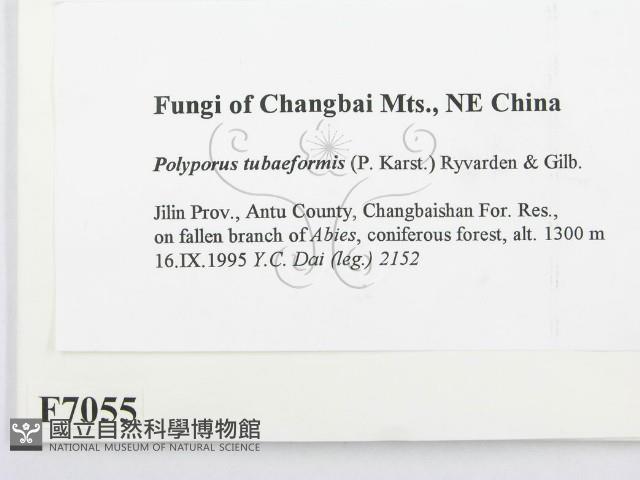 登錄號:F0007055藏品圖，第2張