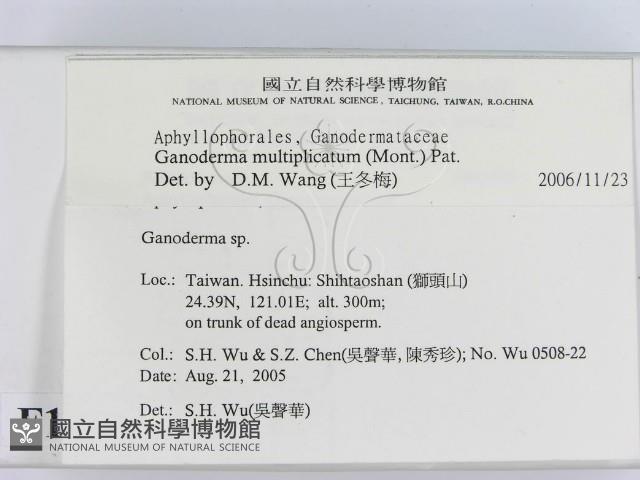 登錄號:F0019055藏品圖，第2張