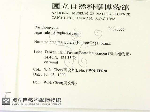 登錄號:F0023055藏品圖，第2張