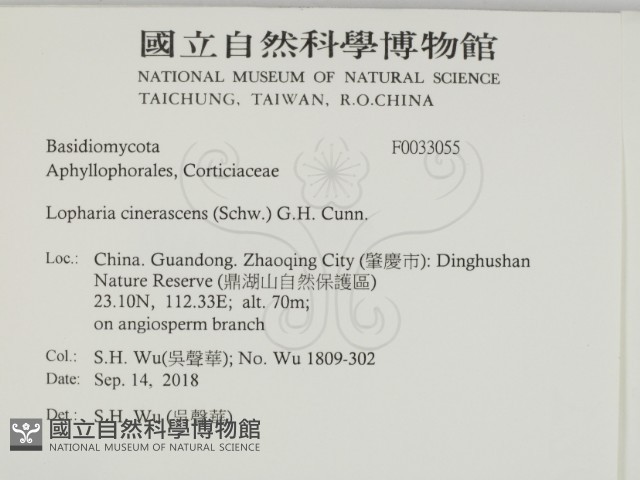 登錄號:F0033055藏品圖，第2張
