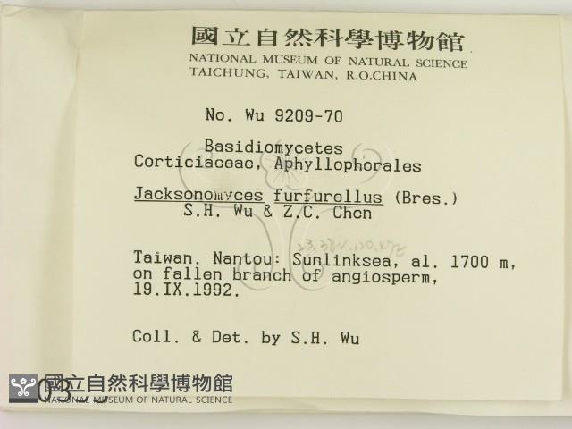 登錄號:F0000355藏品圖，第2張