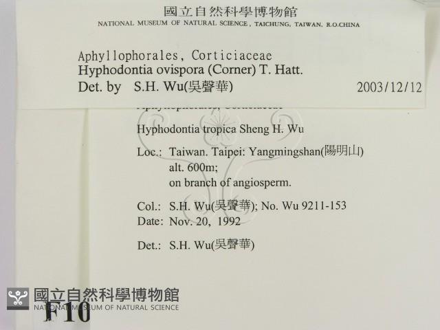 登錄號:F0010355藏品圖，第2張