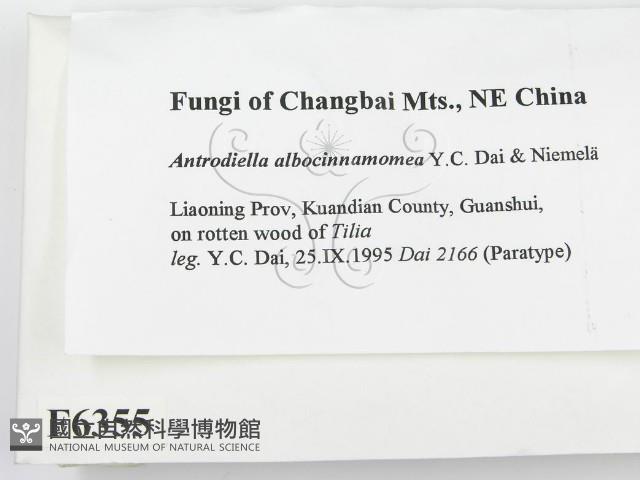 登錄號:F0006355藏品圖，第2張