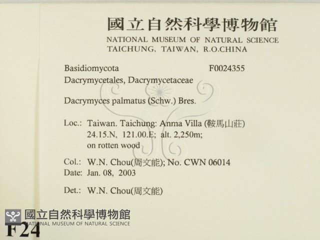 登錄號:F0024355藏品圖，第2張