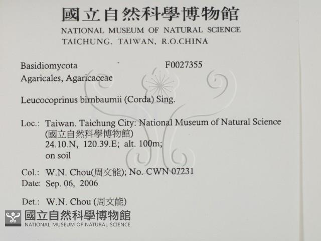 登錄號:F0027355藏品圖，第2張