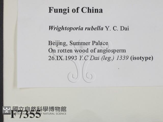 登錄號:F0007355藏品圖，第2張