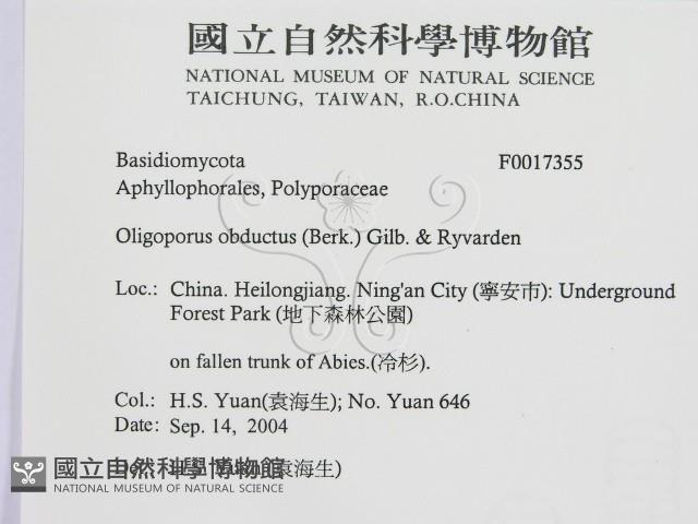 登錄號:F0017355藏品圖，第2張