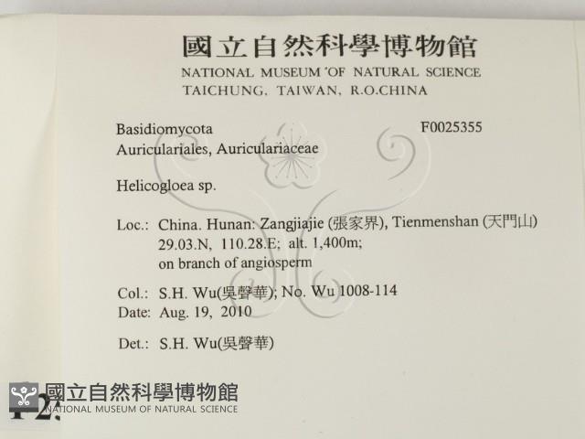 登錄號:F0025355藏品圖，第2張