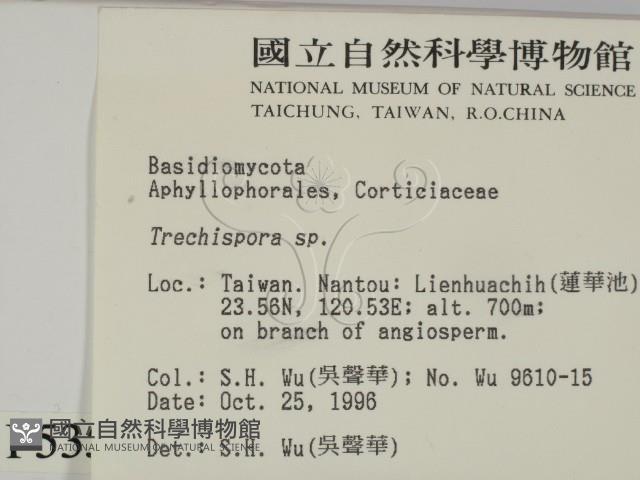 登錄號:F0005355藏品圖，第2張