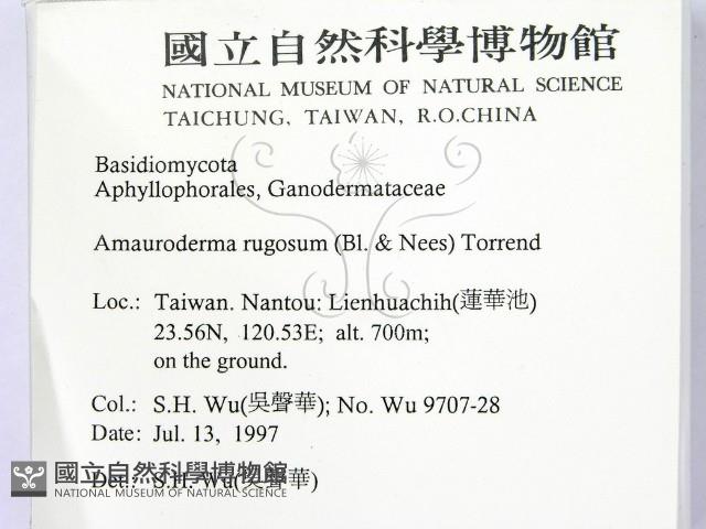 登錄號:F0009355藏品圖，第2張