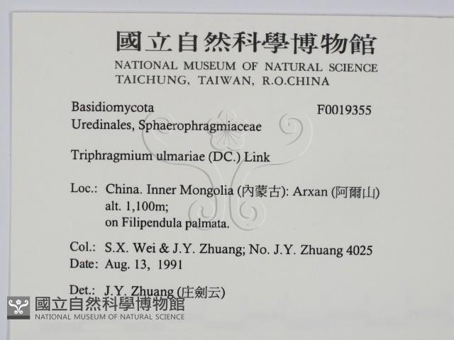 登錄號:F0019355藏品圖，第2張