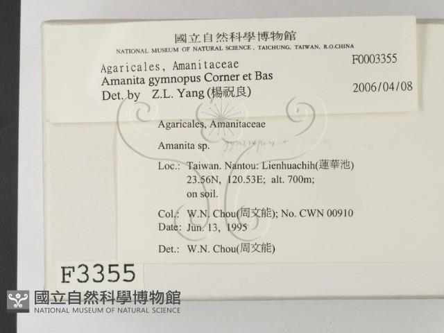 登錄號:F0003355藏品圖，第2張