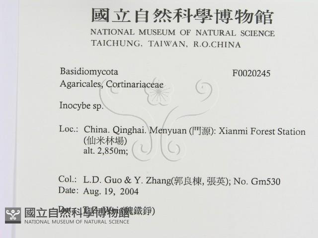 登錄號:F0020245藏品圖，第2張
