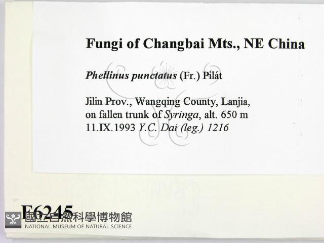 登錄號:F0006245藏品圖，第2張