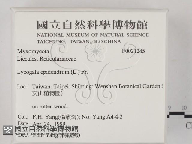 登錄號:F0021245藏品圖，第2張