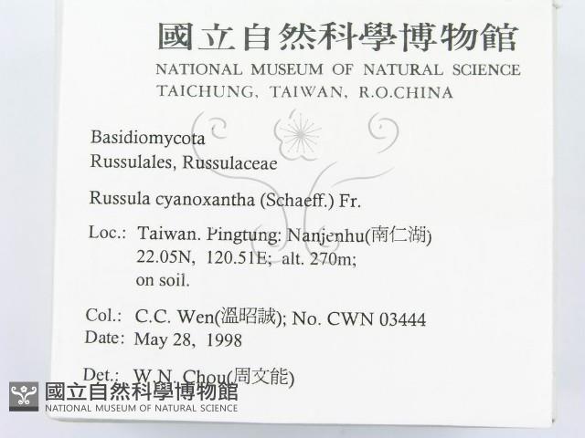 登錄號:F0011245藏品圖，第2張