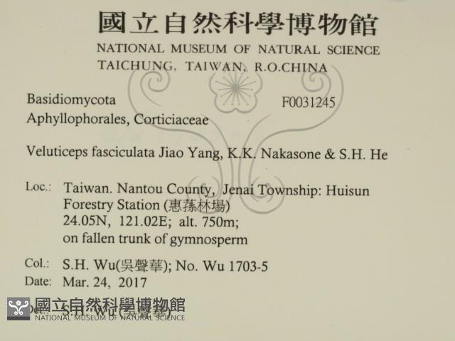 登錄號:F0031245藏品圖，第2張