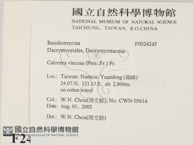 登錄號:F0024245藏品圖，第2張
