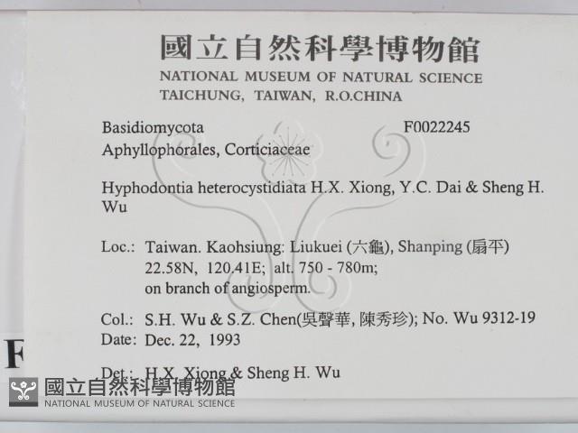 登錄號:F0022245藏品圖，第2張