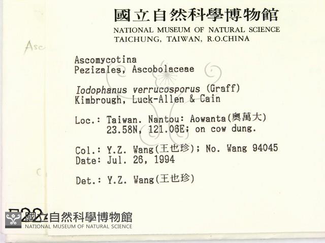 登錄號:F0002245藏品圖，第2張