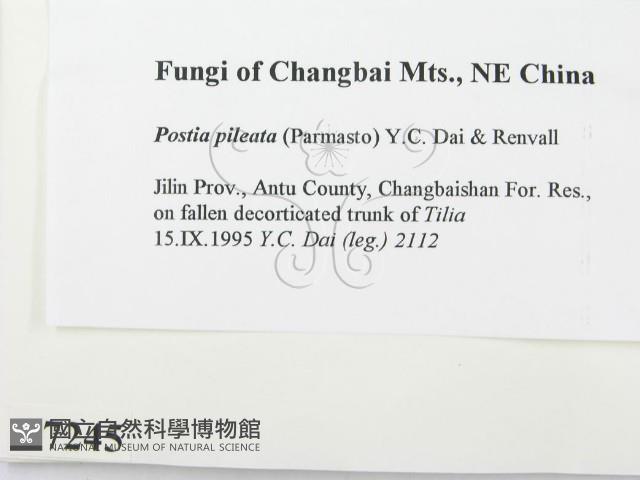 登錄號:F0007245藏品圖，第2張