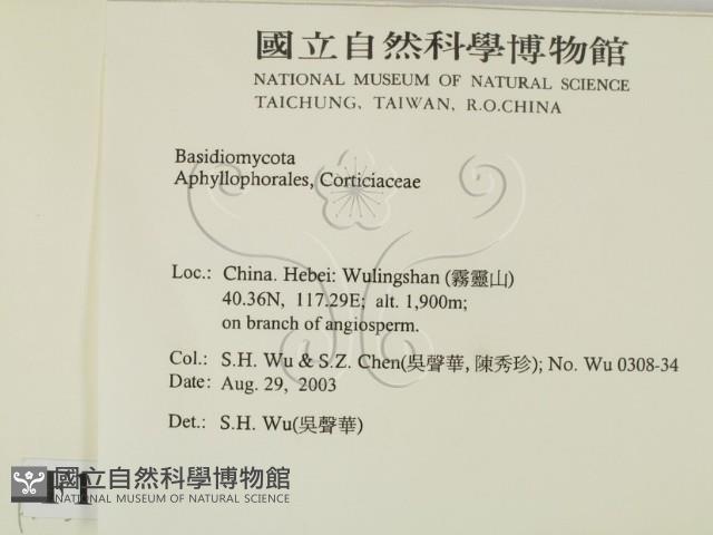 登錄號:F0015245藏品圖，第2張