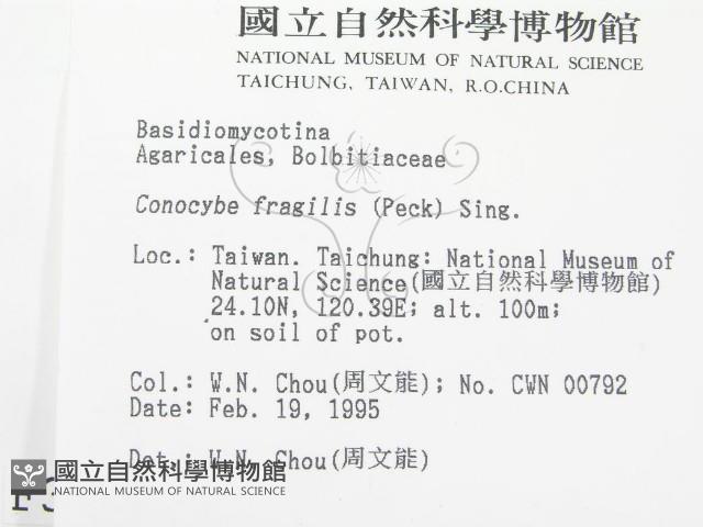 登錄號:F0003245藏品圖，第2張