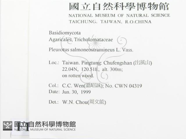 登錄號:F0013245藏品圖，第2張