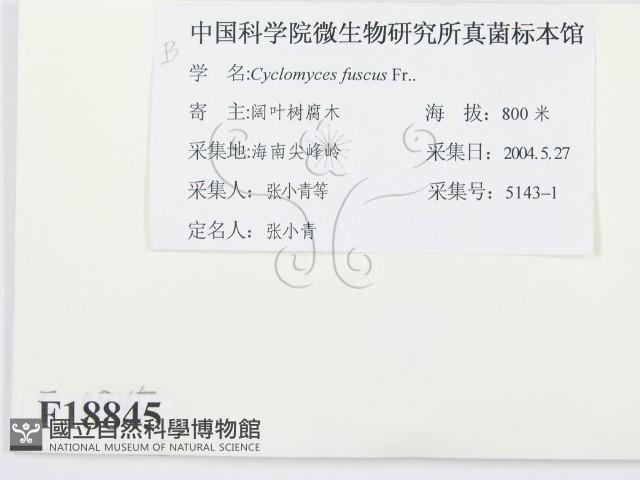 登錄號:F0018845藏品圖，第2張