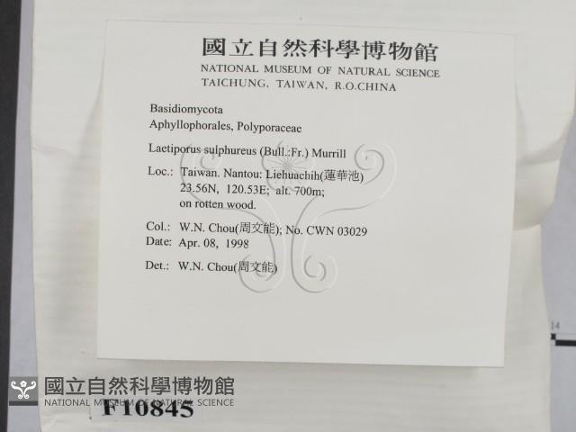 登錄號:F0010845藏品圖，第2張